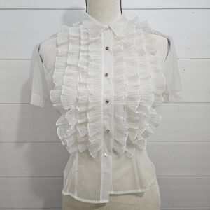 Vintage Victorian Sheer Nylon Ruffle Blouse